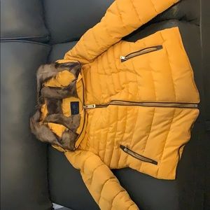 Zara Coat(Mustard)